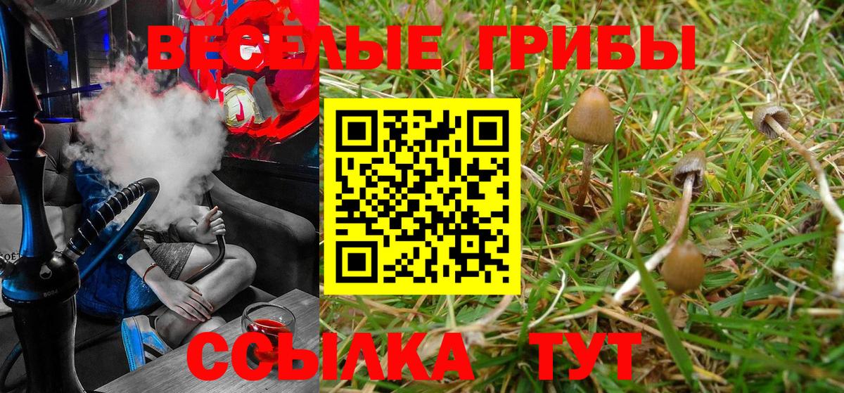 Шали  Галлюциногенные грибы Cubensis  Галлюциногенные грибы GOLDEN TEACHER  хочу   Вход с VPN 